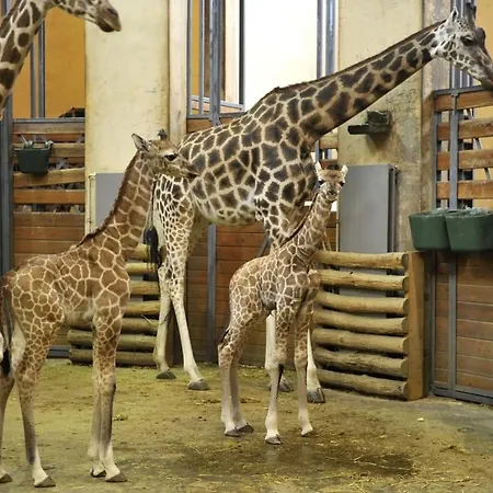 דירה Otthonos Lakas *